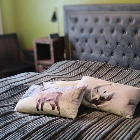 Ferienwohnung-brenda * Wolfshagen (Lower-Saxony)