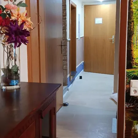 Apartamento Ferienwohnung-brenda Wolfshagen (Lower-Saxony)