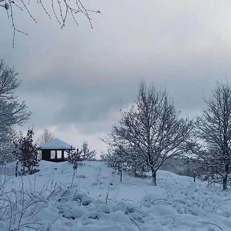 Appartement Ferienwohnung-brenda *