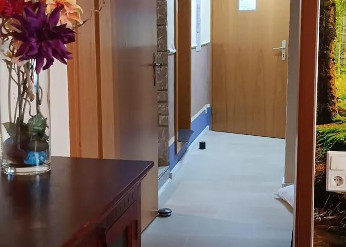 Appartement Ferienwohnung-brenda Wolfshagen (Lower-Saxony)