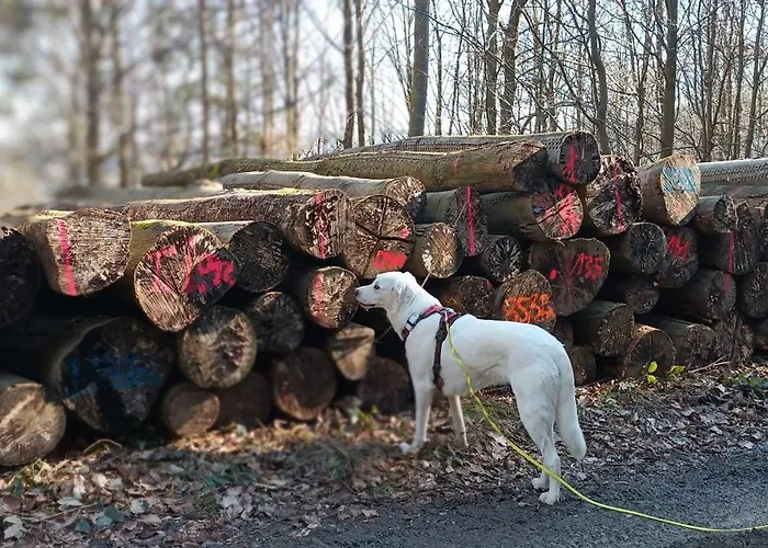 Appartement Ferienwohnung-brenda