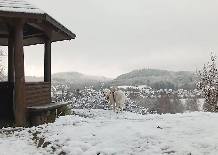 Appartement Ferienwohnung-brenda *